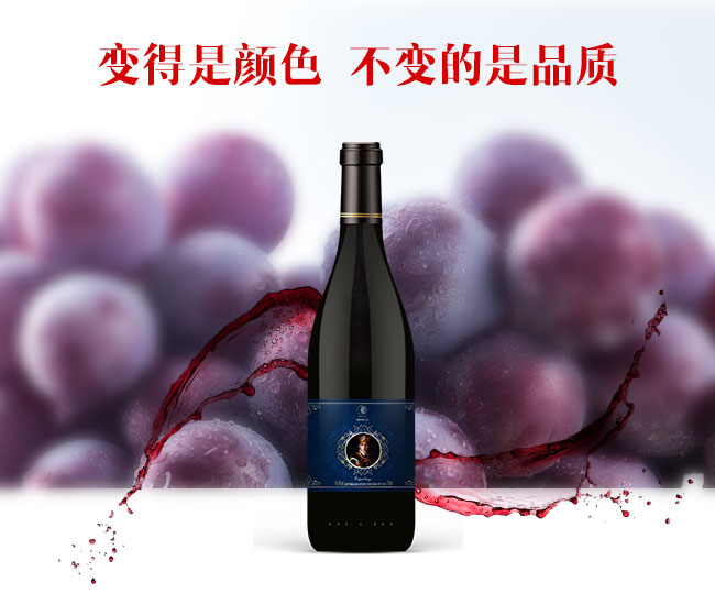 茅臺(tái)卡佩王西拉干紅葡萄酒