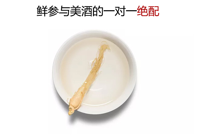 參妃人參瑪咖酒248ml