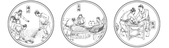 55度高粱原漿酒